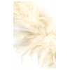 Chandelle Turkey Flat Boa Ivory Approx. 80 Grams